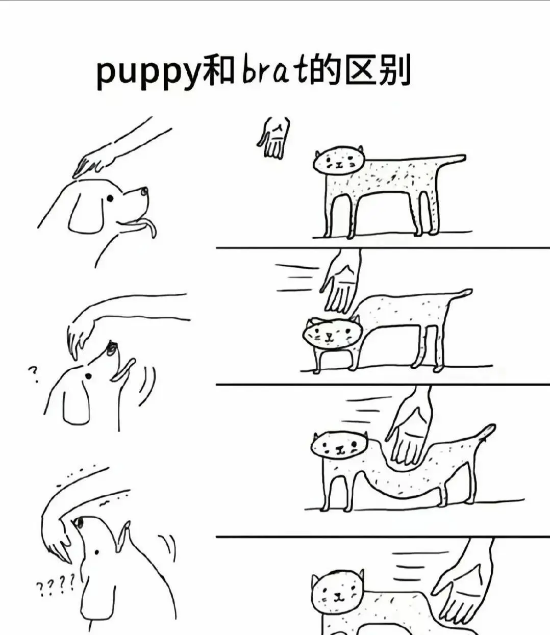 西檬之家s倾向是什么?你的字母圈身份认同如何? 一