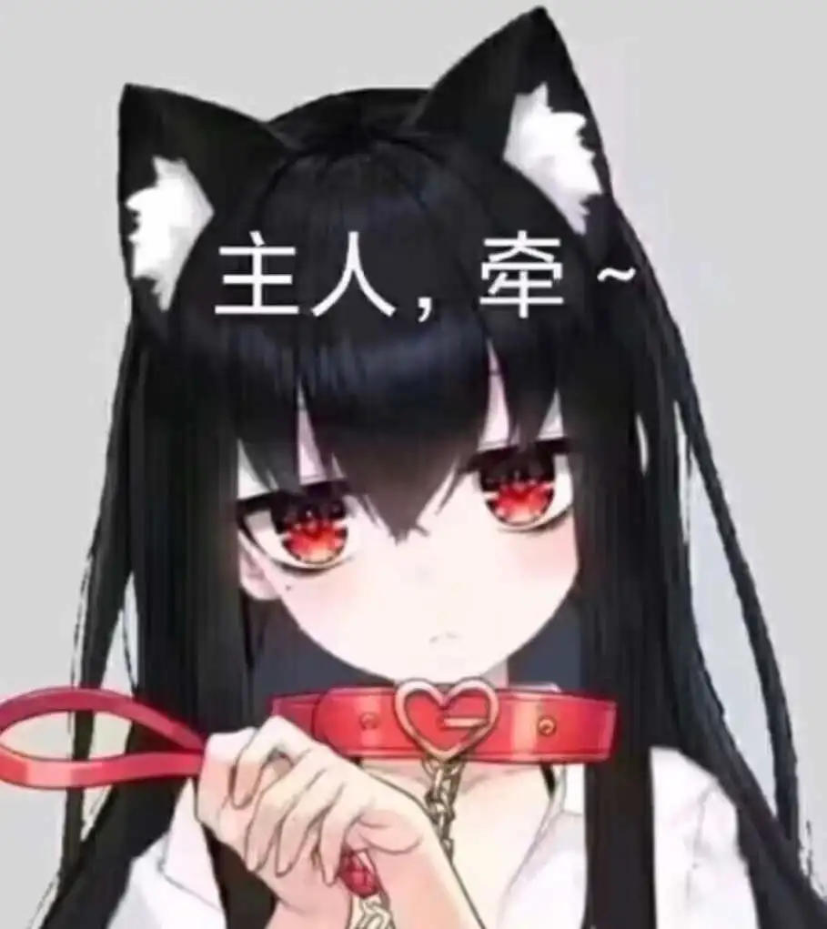 西檬之家DS关系是什么 一