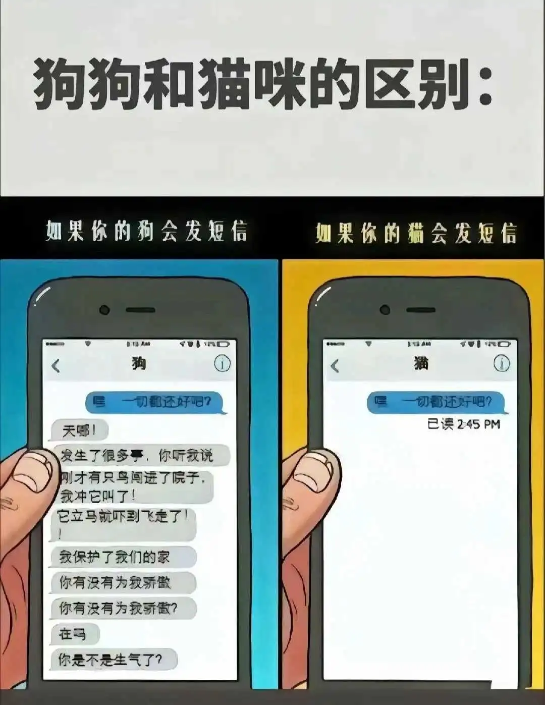西檬之家-ddlg是什么?你的字母圈属性是什么? 一