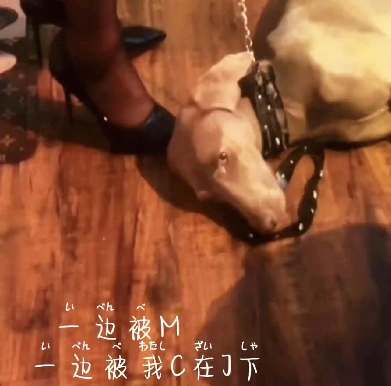 西檬之家字母圈switch是什么意思? 一