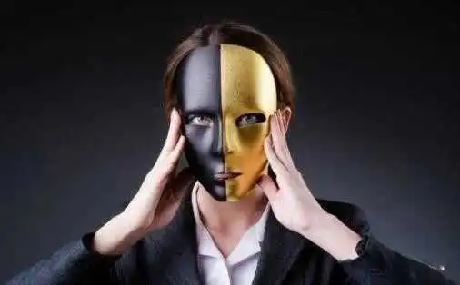 西檬之家k8是什么?你的字母圈属性是什么 一