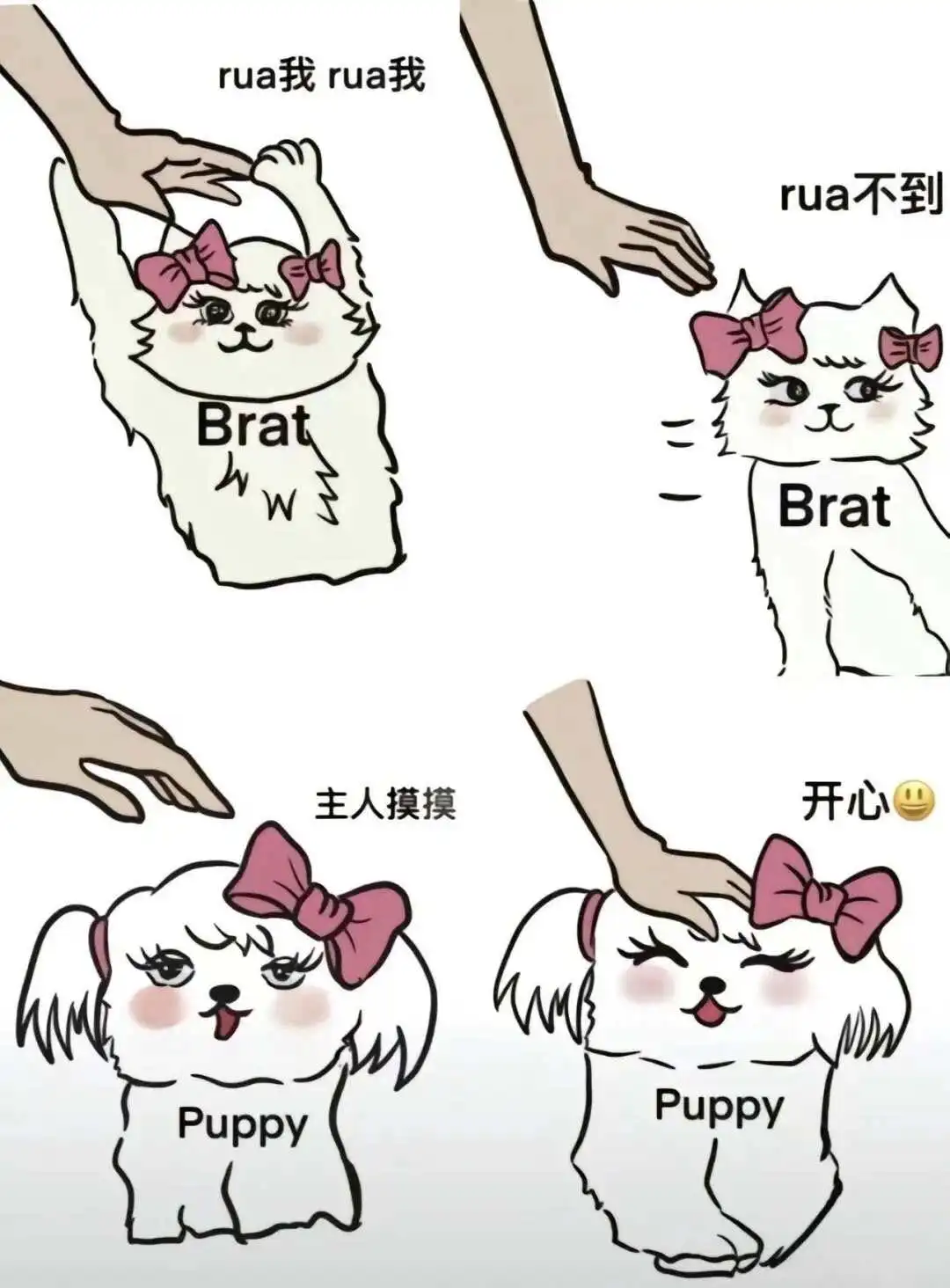 西檬之家什么是字母圈的大圈? 一