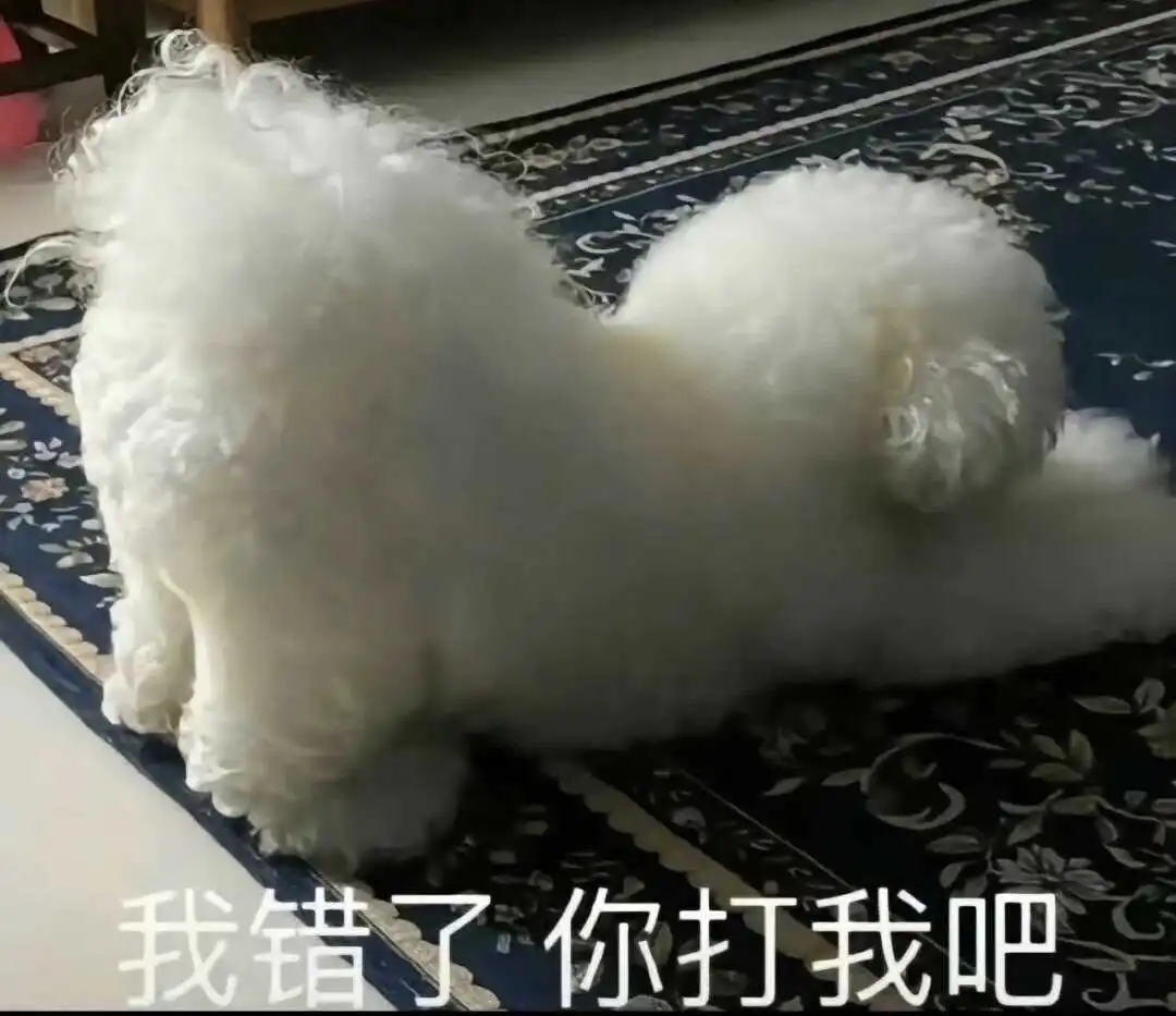 西檬之家BDSM入圈指南:新手如何安全入门? 一
