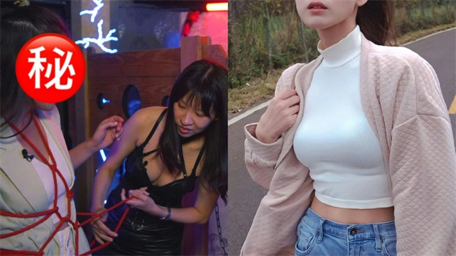 西檬之家k9犬系是什么?你懂这种绝对忠诚的爱吗? 一