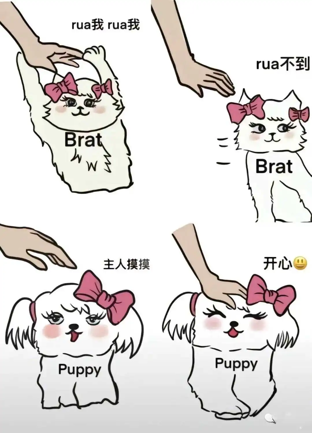 西檬之家斯慕圈是什么意思? 一