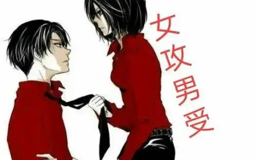 西檬之家TS是什么意思? 一