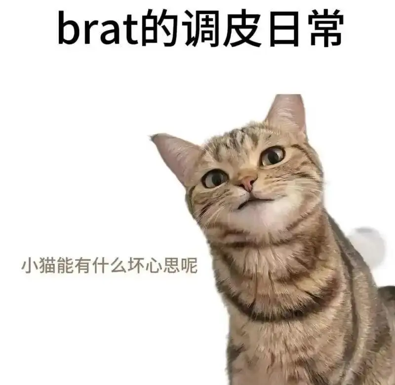 西檬之家字母圈的FETISH是什么? 一